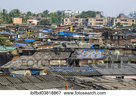 "A slum area with houses made from corrugated iron sheets, with TV dishes on the roofs, Mumbai, Maharashtra, India, Asia" View Large Photo Image Stock Photo - "A slum area with houses made from corrugated iron sheets, with TV dishes on the roofs, Mumbai, Maharashtra, India, Asia". Fotosearch