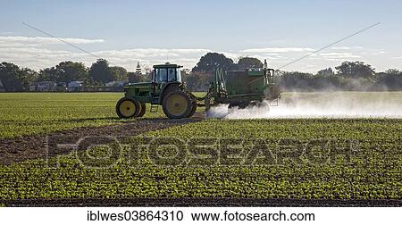 Stock Image - "A tractor driver sprays pesticide on a crop, Florida City, Florida, United States, North America". Fotosearch