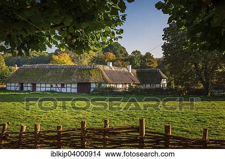 "A typical Danish farmhouse and stable from the 18th century, Open Air Museum, Frilandsmuseet, Lyngby, Denmark, Europe" View Large Photo Image Picture - "A typical Danish farmhouse and stable from the 18th century, Open Air Museum, Frilandsmuseet, Lyngby, Denmark, Europe". Fotosearch