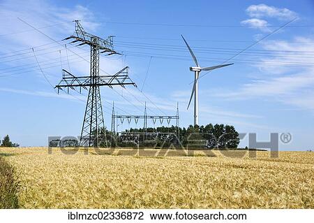 "A wind turbine and power poles, a ripe barley field (Hordeum vulgare) in the foreground, Kuhlrade, Mecklenburg-Western Pomerania, Germany, Europe" View Large Photo Image Stock Image - "A wind turbine and power poles, a ripe barley field (Hordeum vulgare) in the foreground, Kuhlrade, Mecklenburg-Western Pomerania, Germany, Europe". Fotosearch