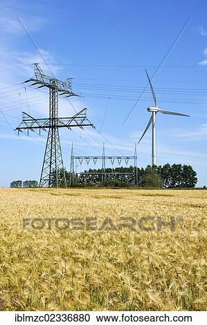 "A wind turbine and power poles, a ripe barley field (Hordeum vulgare) in the foreground, Kuhlrade, Mecklenburg-Western Pomerania, Germany, Europe" View Large Photo Image Stock Image - "A wind turbine and power poles, a ripe barley field (Hordeum vulgare) in the foreground, Kuhlrade, Mecklenburg-Western Pomerania, Germany, Europe". Fotosearch