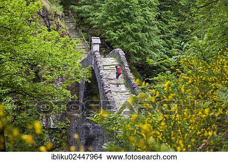 Picture - "A woman hiking across the Ponte Romano bridge near Intragna, Centovalli, Ticino, Switzerland, Europe". Fotosearch