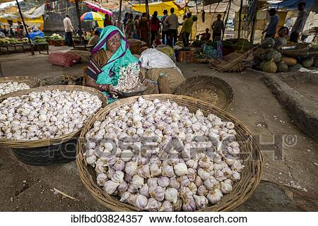 "A woman is selling garlic in baskets at the weekly vegetable market, Nasik, Maharashtra, India, Asia" View Large Photo Image Stock Photo - "A woman is selling garlic in baskets at the weekly vegetable market, Nasik, Maharashtra, India, Asia". Fotosearch