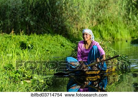 "A woman paddeling in a shikara boat on a canal near Dal Lake, Srinagar, Jammu and Kashmir, India, Asia" View Large Photo Image Picture - "A woman paddeling in a shikara boat on a canal near Dal Lake, Srinagar, Jammu and Kashmir, India, Asia". Fotosearch