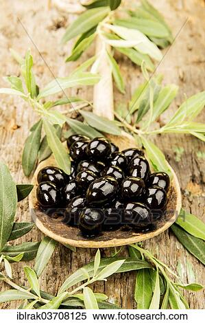 Stock Photography - "A wooden spoon with black olives on a board with olive tree branches, Germany, Europe". Fotosearch