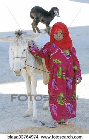 Picture - "A young Bedouin girl with a goatling standing on the back of a donkey, Hurghada, Egypt, Africa". Fotosearch