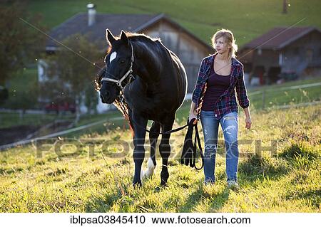 "A young woman and a black Hanoverian horse walking on a mountain meadow, North Tyrol, Austria, Europe" View Large Photo Image Stock Image - "A young woman and a black Hanoverian horse walking on a mountain meadow, North Tyrol, Austria, Europe". Fotosearch