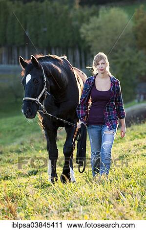 "A young woman and a black Hanoverian horse walking on a mountain meadow, North Tyrol, Austria, Europe" View Large Photo Image Stock Image - "A young woman and a black Hanoverian horse walking on a mountain meadow, North Tyrol, Austria, Europe". Fotosearch