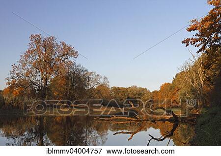 Stock Photo - "Abandoned channel of the floodplain landscape in autumnal evening light, Middle Elbe Biosphere Reserve, Dessau-Rosslau, Saxony-Anhalt, Germany, Europe". Fotosearch