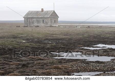 Picture - "Abandoned house, Wrangel Island, UNESCO World Heritage site, Chukotka Autonomous Okrug, Russia, Europe". Fotosearch