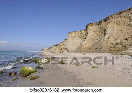Stock Image - "Active cliff, Hohes Ufer cliffs with beach near Baltic resort of Ahrenshoop, Fischland, Mecklenburg-Western Pomerania, Germany, Europe". Fotosearch
