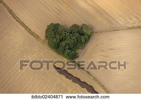 "Aerial view, a heart-shaped group of trees, fields, Datteln, Ruhr area, North Rhine-Westphalia, Germany, Europe" View Large Photo Image Stock Image - "Aerial view, a heart-shaped group of trees, fields, Datteln, Ruhr area, North Rhine-Westphalia, Germany, Europe". Fotosearch