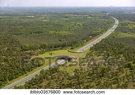 Stock Image - "Aerial view, A31 Autobahn, motorway bridge, green bridge for wildlife crossing, near Dorsten, North Rhine-Westphalia, Germany, Europe". Fotosearch