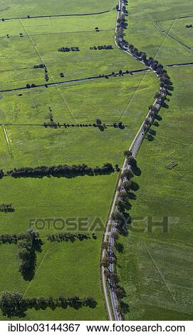 "Aerial view, Anklamer Strasse, a tree-lined road with meadows, Usedom, Usedom, Mecklenburg-Western Pomerania, Germany, Europe" View Large Photo Image Stock Photo - "Aerial view, Anklamer Strasse, a tree-lined road with meadows, Usedom, Usedom, Mecklenburg-Western Pomerania, Germany, Europe". Fotosearch