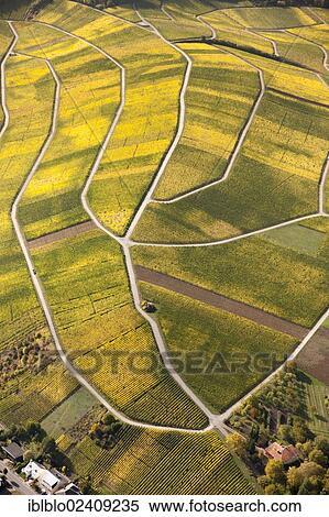 "Aerial view, autumnal vineyards in the Moselle valley on the Luxembourg side, Wellenstein, Luxembourg, Europe" View Large Photo Image Stock Photography - "Aerial view, autumnal vineyards in the Moselle valley on the Luxembourg side, Wellenstein, Luxembourg, Europe". Fotosearch