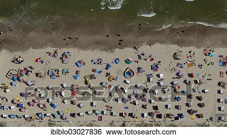 "Aerial view, beach life, beach in Binz on the island of Ruegen, Ostseebad, Binz, Mecklenburg-Western Pomerania, Germany, Europe" View Large Photo Image Stock Photograph - "Aerial view, beach life, beach in Binz on the island of Ruegen, Ostseebad, Binz, Mecklenburg-Western Pomerania, Germany, Europe". Fotosearch