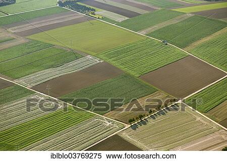 Stock Photography - "Aerial view, cabbage fields, North Rhine-Westphalia, Germany, Europe". Fotosearch