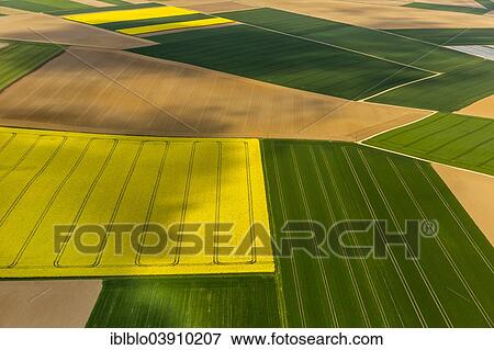 "Aerial view, canola fields, Durboslar, Aldenhoven, North Rhine-Westphalia, Germany, Europe" View Large Photo Image Stock Photo - "Aerial view, canola fields, Durboslar, Aldenhoven, North Rhine-Westphalia, Germany, Europe". Fotosearch