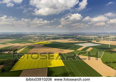 "Aerial view, canola fields, Durboslar, Aldenhoven, North Rhine-Westphalia, Germany, Europe" View Large Photo Image Stock Photograph - "Aerial view, canola fields, Durboslar, Aldenhoven, North Rhine-Westphalia, Germany, Europe". Fotosearch
