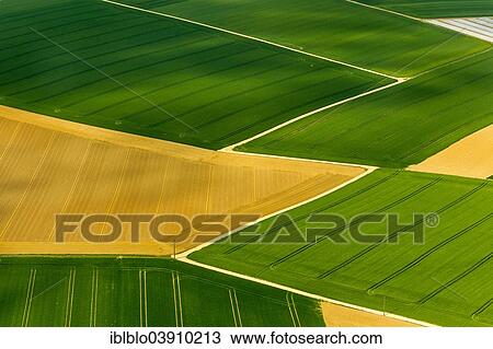 "Aerial view, canola fields, Aldenhoven, North Rhine-Westphalia, Germany, Europe" View Large Photo Image Stock Image - "Aerial view, canola fields, Aldenhoven, North Rhine-Westphalia, Germany, Europe". Fotosearch