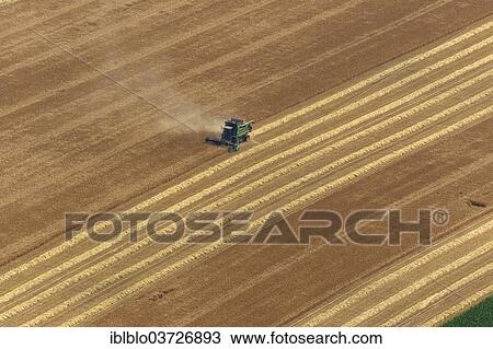 "Aerial view, combine harvester harvesting a grain crop, Dorsten, North Rhine-Westphalia, Germany, Europe" View Large Photo Image Stock Image - "Aerial view, combine harvester harvesting a grain crop, Dorsten, North Rhine-Westphalia, Germany, Europe". Fotosearch