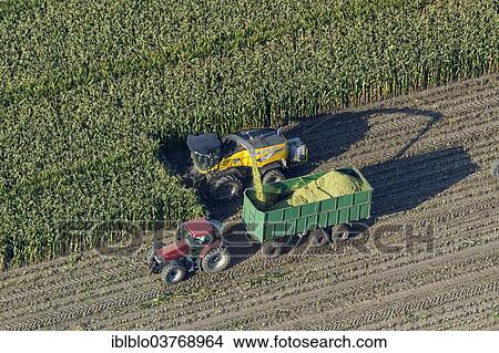 Picture - "Aerial view, corn harvester and tractor with trailers, maize harvest, North Rhine-Westphalia, Germany, Europe". Fotosearch