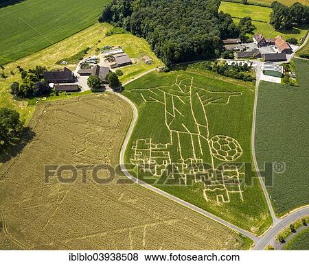 "Aerial view, corn maze in the shape of the statue of Christ the Redeemer in Rio de Janeiro for the 2014 FIFA World Cup, Selm, Ruhr district, North Rhine-Westphalia, Germany, Europe" View Large Photo Image Stock Photo - "Aerial view, corn maze in the shape of the statue of Christ the Redeemer in Rio de Janeiro for the 2014 FIFA World Cup, Selm, Ruhr district, North Rhine-Westphalia, Germany, Europe". Fotosearch