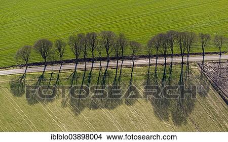 "Aerial view, country road, Lochtruper Kirchweg road, Haltern am See, Ruhr district, North Rhine-Westphalia, Germany, Europe" View Large Photo Image Picture - "Aerial view, country road, Lochtruper Kirchweg road, Haltern am See, Ruhr district, North Rhine-Westphalia, Germany, Europe". Fotosearch