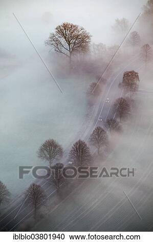 "Aerial view, country road with cars in morning fog, tree-lined avenue, leafless trees, Hamm, Ruhr area, North Rhine-Westphalia, Germany, Europe" View Large Photo Image Stock Image - "Aerial view, country road with cars in morning fog, tree-lined avenue, leafless trees, Hamm, Ruhr area, North Rhine-Westphalia, Germany, Europe". Fotosearch