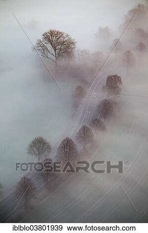 "Aerial view, country road with cars in morning fog, tree-lined avenue, leafless trees, Hamm, Ruhr area, North Rhine-Westphalia, Germany, Europe" View Large Photo Image Stock Photo - "Aerial view, country road with cars in morning fog, tree-lined avenue, leafless trees, Hamm, Ruhr area, North Rhine-Westphalia, Germany, Europe". Fotosearch