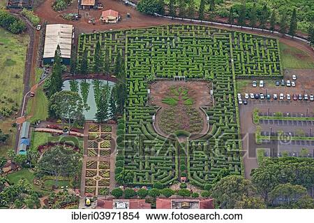 Picture - "Aerial view, Dole plantation, the world's largest planted maze, O'ahu, Hawaii, United States, North America". Fotosearch