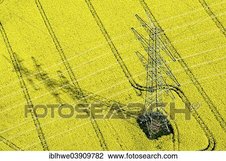 "Aerial view, electricity pylon in a rape field, Schleswig-Holstein, Germany, Europe" View Large Photo Image Stock Image - "Aerial view, electricity pylon in a rape field, Schleswig-Holstein, Germany, Europe". Fotosearch
