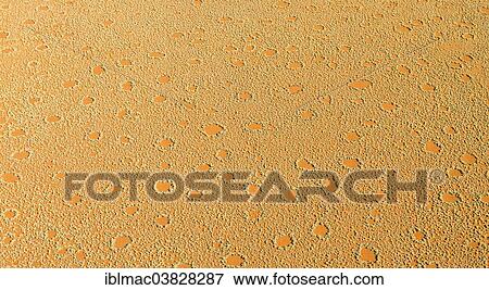 "Aerial view, fairy circles, Wolwedans, NamibRand Nature Reserve, Namibia, Africa" View Large Photo Image Stock Photo - "Aerial view, fairy circles, Wolwedans, NamibRand Nature Reserve, Namibia, Africa". Fotosearch