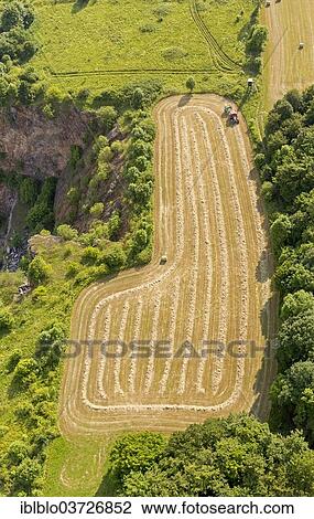 "Aerial view, farmer harvesting straw and pressing straw bales, Messinghausen, Brilon, North Rhine-Westphalia, Germany, Europe" View Large Photo Image Stock Image - "Aerial view, farmer harvesting straw and pressing straw bales, Messinghausen, Brilon, North Rhine-Westphalia, Germany, Europe". Fotosearch