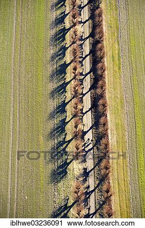 "Aerial view, Feston Avenue, near Schloss Bothmer Castle, Kluetz, Mecklenburg-Western Pomerania, Germany, Europe" View Large Photo Image Stock Image - "Aerial view, Feston Avenue, near Schloss Bothmer Castle, Kluetz, Mecklenburg-Western Pomerania, Germany, Europe". Fotosearch