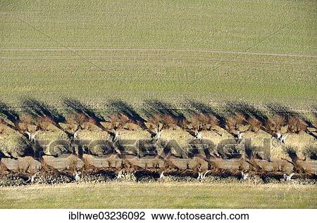 Stock Image - "Aerial view, Feston Avenue, near Schloss Bothmer Castle, Kluetz, Mecklenburg-Western Pomerania, Germany, Europe". Fotosearch