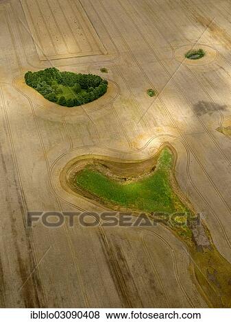 "Aerial view, field with forest patches, moraine, Wopkendorf, Dettmannsdorf, Mecklenburg-Western Pomerania, Germany, Europe" View Large Photo Image Stock Photo - "Aerial view, field with forest patches, moraine, Wopkendorf, Dettmannsdorf, Mecklenburg-Western Pomerania, Germany, Europe". Fotosearch