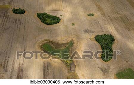 "Aerial view, field with forest patches, moraine, Wopkendorf, Dettmannsdorf, Mecklenburg-Western Pomerania, Germany, Europe" View Large Photo Image Stock Photography - "Aerial view, field with forest patches, moraine, Wopkendorf, Dettmannsdorf, Mecklenburg-Western Pomerania, Germany, Europe". Fotosearch