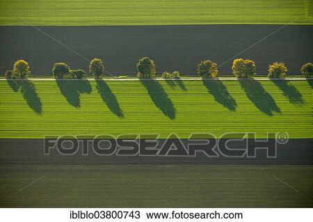 "Aerial view, fields and trees on a street with shadows, North Rhine-Westphalia, Germany, Europe" View Large Photo Image Stock Image - "Aerial view, fields and trees on a street with shadows, North Rhine-Westphalia, Germany, Europe". Fotosearch