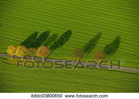 "Aerial view, fields and trees with shadows, North Rhine-Westphalia, Germany, Europe" View Large Photo Image Stock Image - "Aerial view, fields and trees with shadows, North Rhine-Westphalia, Germany, Europe". Fotosearch
