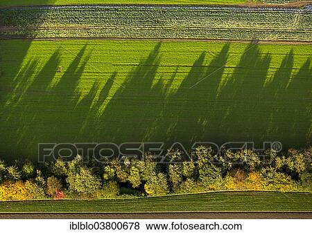 "Aerial view, fields and trees with shadows, North Rhine-Westphalia, Germany, Europe" View Large Photo Image Stock Photo - "Aerial view, fields and trees with shadows, North Rhine-Westphalia, Germany, Europe". Fotosearch