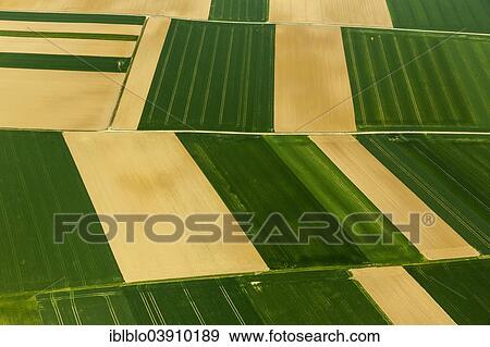 "Aerial view, fields, in Baesweiler, North Rhine-Westphalia, Germany, Europe" View Large Photo Image Stock Photo - "Aerial view, fields, in Baesweiler, North Rhine-Westphalia, Germany, Europe". Fotosearch