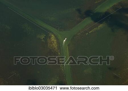 "Aerial view, fork in the channel from Schaprode to Hiddensee with a ferry, Hiddensee Island, Vitte, Insel Hiddensee, Mecklenburg-Western Pomerania, Germany, Europe" View Large Photo Image Stock Image - "Aerial view, fork in the channel from Schaprode to Hiddensee with a ferry, Hiddensee Island, Vitte, Insel Hiddensee, Mecklenburg-Western Pomerania, Germany, Europe". Fotosearch