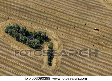 "Aerial view, harvested corn field with forest patches, tractor collecting straw bales, moraine, Gulzow-Pruzen, Mecklenburg-Western Pomerania, Germany, Europe" View Large Photo Image Stock Photo - "Aerial view, harvested corn field with forest patches, tractor collecting straw bales, moraine, Gulzow-Pruzen, Mecklenburg-Western Pomerania, Germany, Europe". Fotosearch