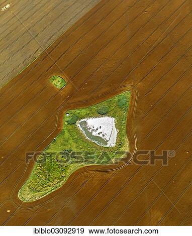 "Aerial view, harvested field with a pond and meadow islands, Reppenhagen, Damshagen, Mecklenburg-Western Pomerania, Germany, Europe" View Large Photo Image Stock Photo - "Aerial view, harvested field with a pond and meadow islands, Reppenhagen, Damshagen, Mecklenburg-Western Pomerania, Germany, Europe". Fotosearch