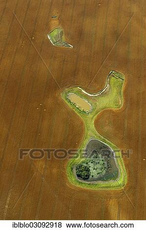"Aerial view, harvested field with ponds and meadow islands, Dorf Reppenhagen, Damshagen, Mecklenburg-Western Pomerania, Germany, Europe" View Large Photo Image Stock Photo - "Aerial view, harvested field with ponds and meadow islands, Dorf Reppenhagen, Damshagen, Mecklenburg-Western Pomerania, Germany, Europe". Fotosearch