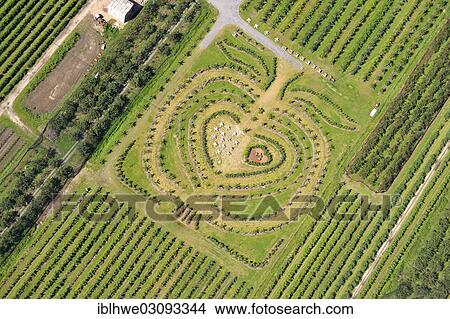 "Aerial view, Herzapfelhof orchard, Osterjork 102, Jork, Altes Land, Lower Saxony, Germany, Europe" View Large Photo Image Picture - "Aerial view, Herzapfelhof orchard, Osterjork 102, Jork, Altes Land, Lower Saxony, Germany, Europe". Fotosearch