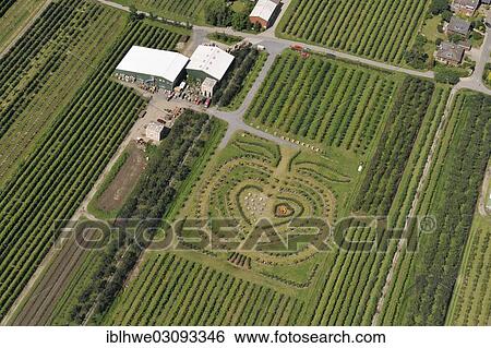 "Aerial view, Herzapfelhof orchard, Osterjork 102, Jork, Altes Land, Lower Saxony, Germany, Europe" View Large Photo Image Stock Photograph - "Aerial view, Herzapfelhof orchard, Osterjork 102, Jork, Altes Land, Lower Saxony, Germany, Europe". Fotosearch