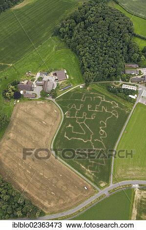 "Aerial view, maze in a maize field, Salm-Cappenberg, Ruhr Area, North Rhine-Westphalia, Germany, Europe" View Large Photo Image Stock Image - "Aerial view, maze in a maize field, Salm-Cappenberg, Ruhr Area, North Rhine-Westphalia, Germany, Europe". Fotosearch
