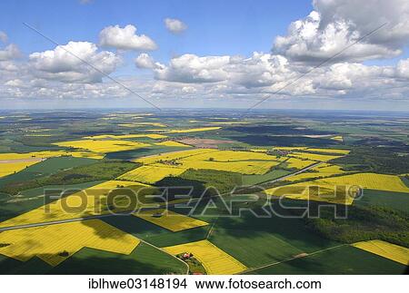 "Aerial view, Mecklenburg landscape with blooming rapeseed fields, Mecklenburg, Hagenow, Mecklenburg-Western Pomerania, Germany, Europe" View Large Photo Image Picture - "Aerial view, Mecklenburg landscape with blooming rapeseed fields, Mecklenburg, Hagenow, Mecklenburg-Western Pomerania, Germany, Europe". Fotosearch